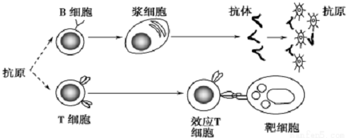 實(shí)驗(yàn)室用超純水機(jī)