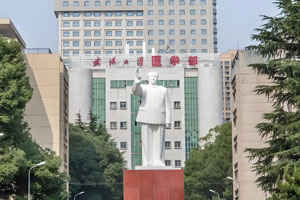 武漢大學醫(yī)院部